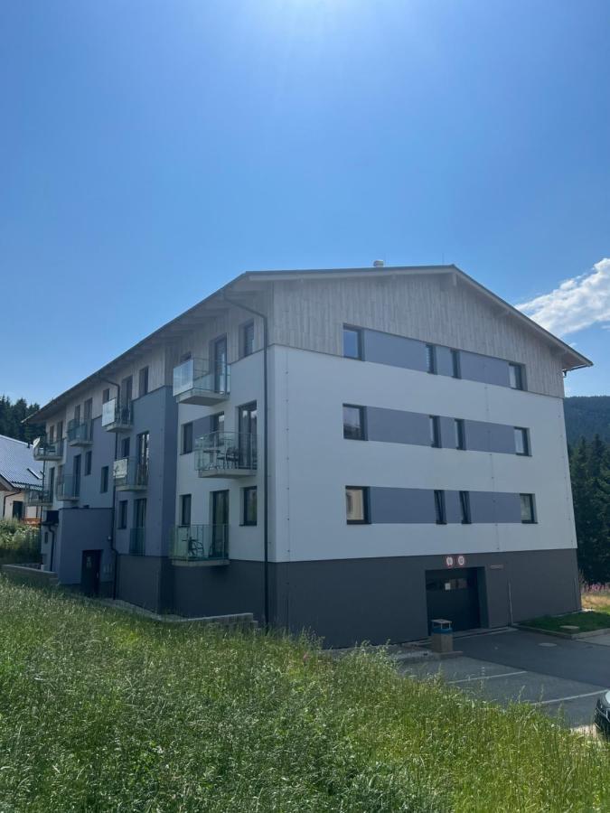 Klinovec-Apartments Loučná pod Klínovcem Екстериор снимка
